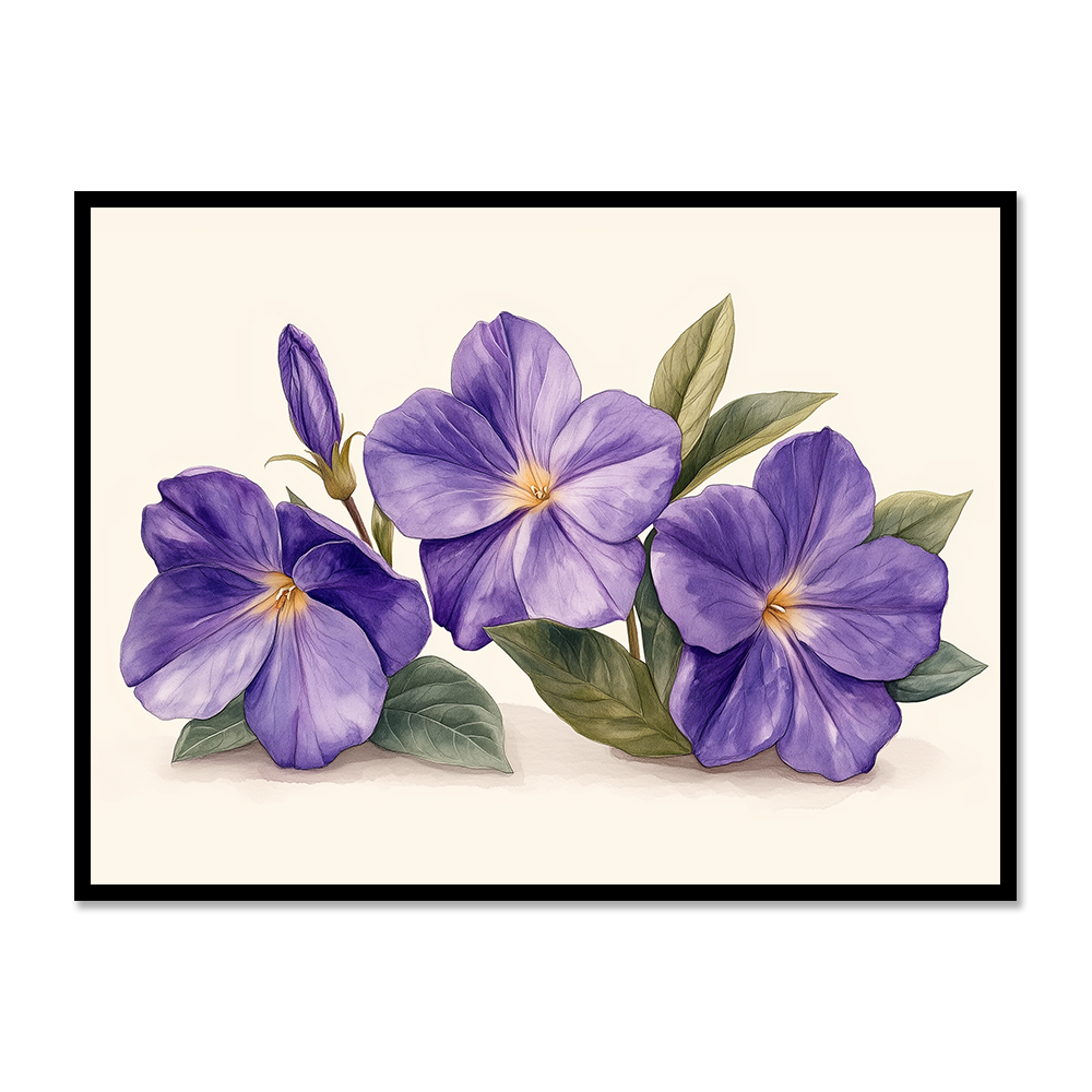 Thunbergia Whispering Bloom